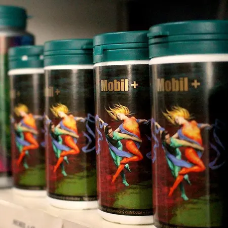 ホテル Sebarozvoja S Moznostou Ziskania Poznania A Inspirujucich Prostriedkov Na Uplatnovanie Vedomia, Premenu Seba A Prostredia Interieru